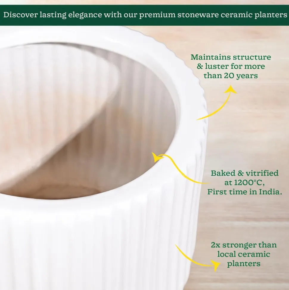 Phoenix Ceramic Pot (12.5 Inch Diameter)