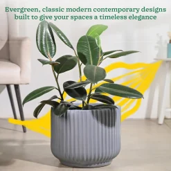 Phoenix Ceramic Pot (12.5 Inch Diameter)