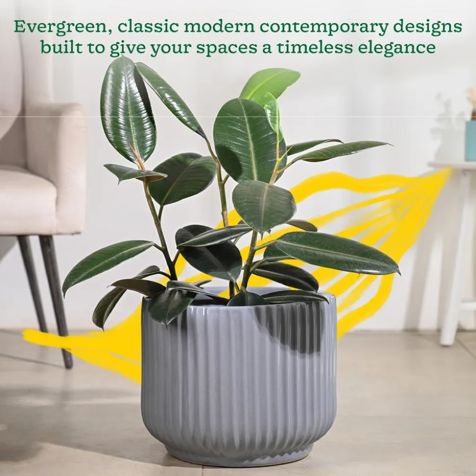 Phoenix Ceramic Pot (12.5 Inch Diameter)