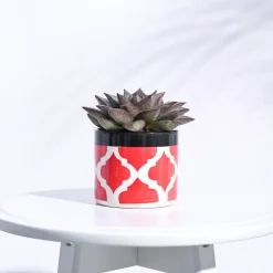 Pipe Ceramic Pot (3.8 Inch Diameter)