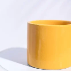 Pipe Ceramic Pot (3.8 Inch Diameter)