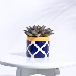 Pipe Ceramic Pot (3.8 Inch Diameter)
