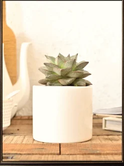 Pipe Ceramic Pot (3.8 Inch Diameter)