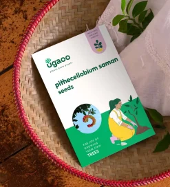 Pithecellobium Saman Seeds - 100 g