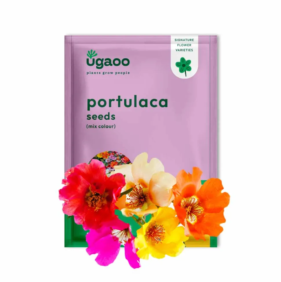 Portulaca Mix Seeds