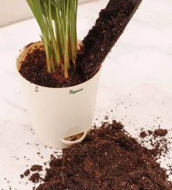 Pot-O-Mix - 5 Kg Potting Mix