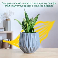 Precious Horcrux Ceramic Pot