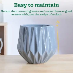 Precious Horcrux Ceramic Pot