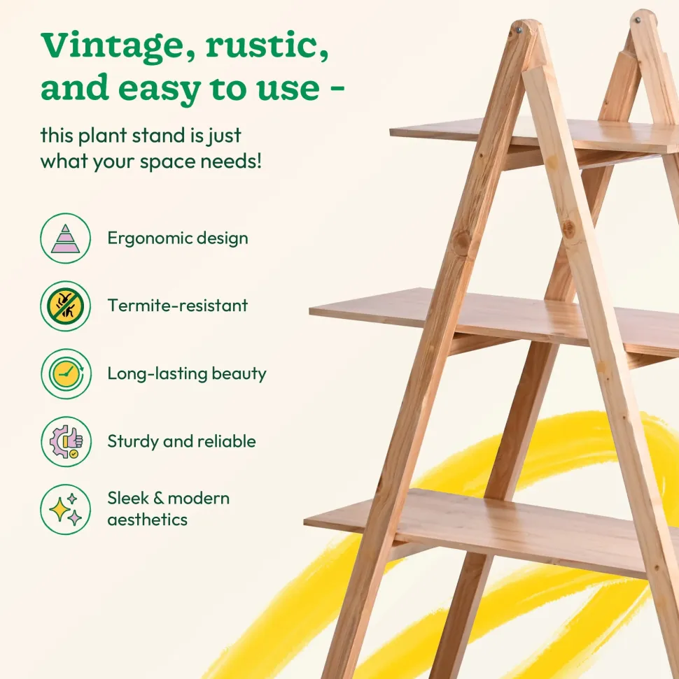 Pyramid Wooden Stand