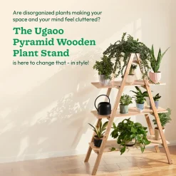 Pyramid Wooden Stand