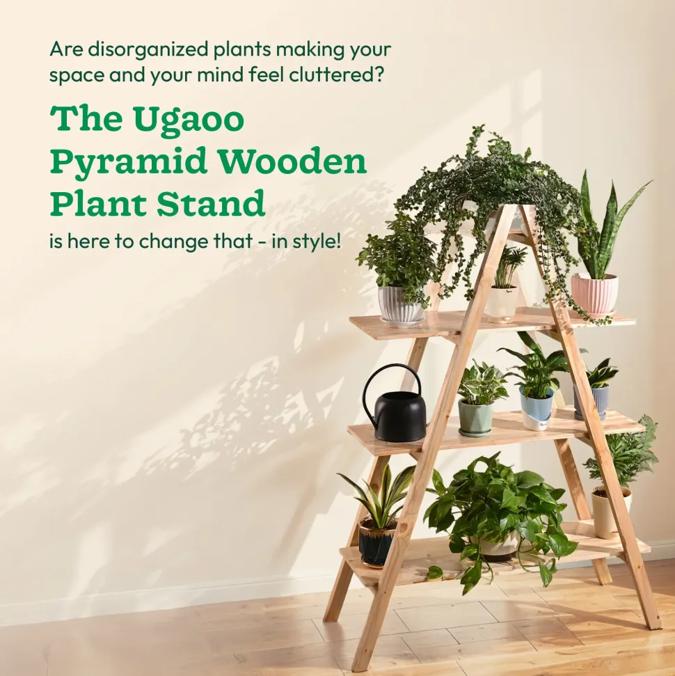 Pyramid Wooden Stand