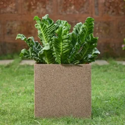 Qubec Planter