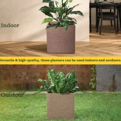 Qubec Planter
