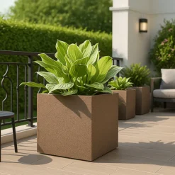 Qubec Planter