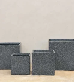 Qubec Planter