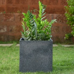 Qubec Planter