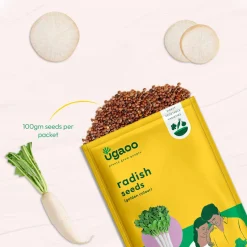 Radish Golden Seeds (Pusa Chatki)