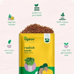 Radish Golden Seeds (Pusa Chatki)