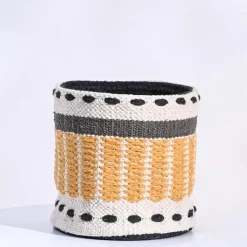 Rays Cotton Planter