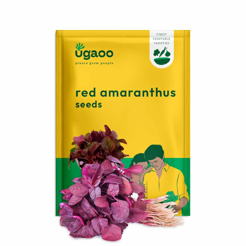 Red Amaranthus Seeds (Red Math)