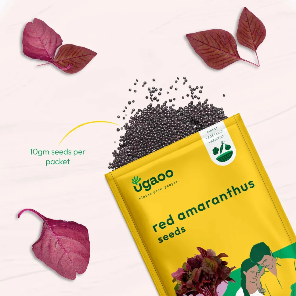 Red Amaranthus Seeds (Red Math)