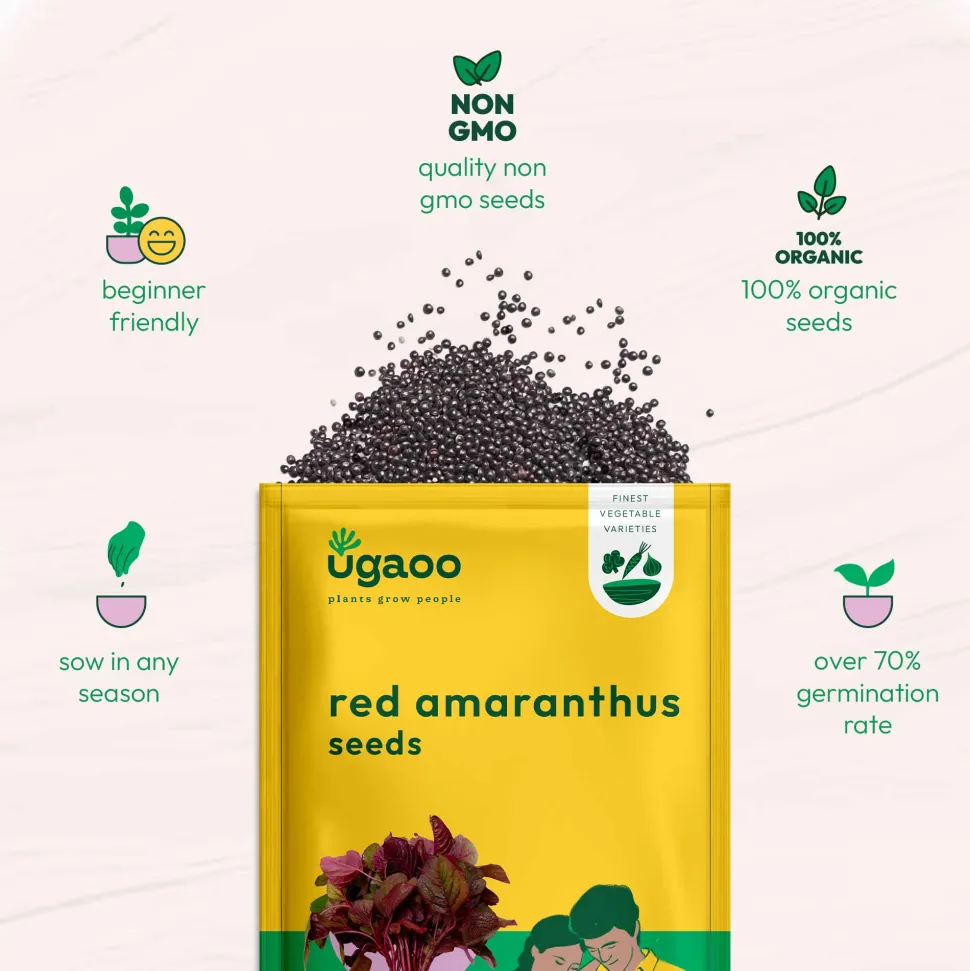 Red Amaranthus Seeds (Red Math)