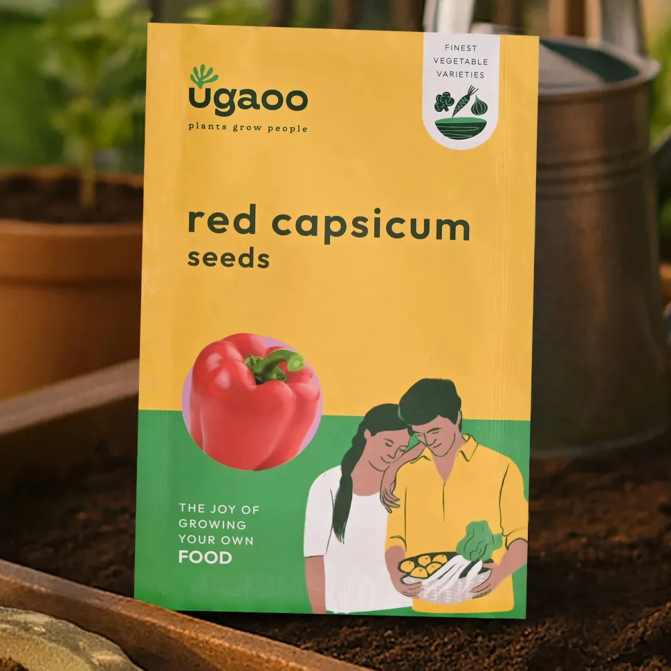 Red Capsicum Seeds