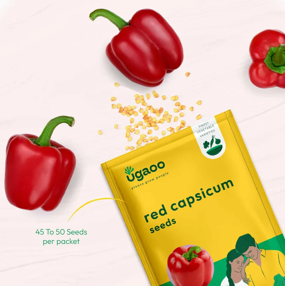 Red Capsicum Seeds