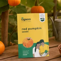 Red Pumpkin Seeds