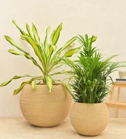 Rib Bowl Planter