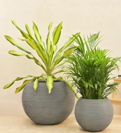 Rib Bowl Planter