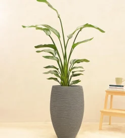 Rib High Planter