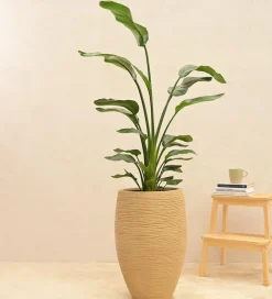 Rib High Planter