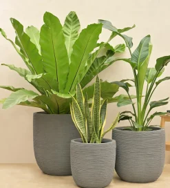 Rib Short Planter