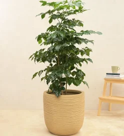 Rib Short Planter