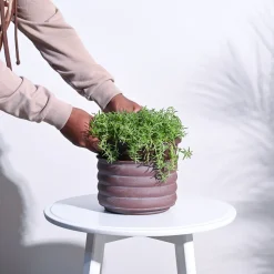 RidgeCraft Cylindrical Planter