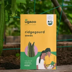 Ridge Gourd Seeds