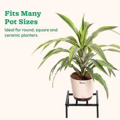 Rolling Plant Stand - Black