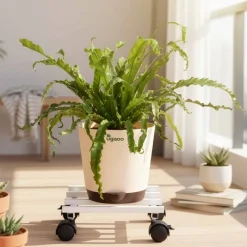 Rolling Plant Stand - White