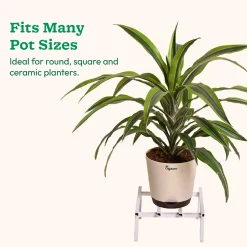 Rolling Plant Stand - White