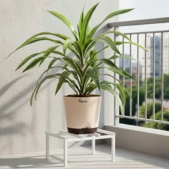 Rolling Plant Stand - White