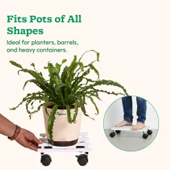 Rolling Plant Stand - White