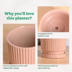 Roma Ceramic Pot