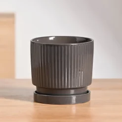 Roma Ceramic Pot