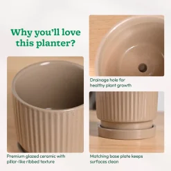 Roma Ceramic Pot