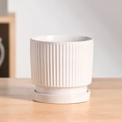Roma Ceramic Pot