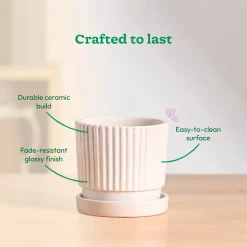 Roma Ceramic Pot