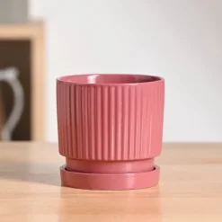 Roma Ceramic Pot