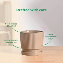 Roma Ceramic Pot