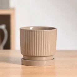 Roma Ceramic Pot